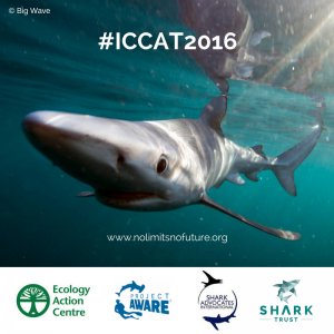 #ICCAT2016 - Photograph © Fiona Ayerst